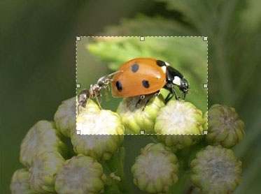 jquery-plugin2